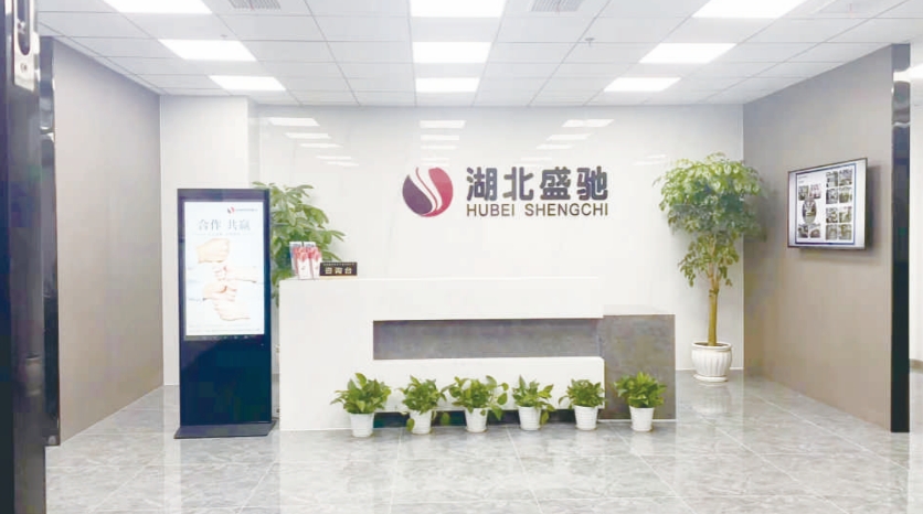 湖北盛驰项目管理有限公司